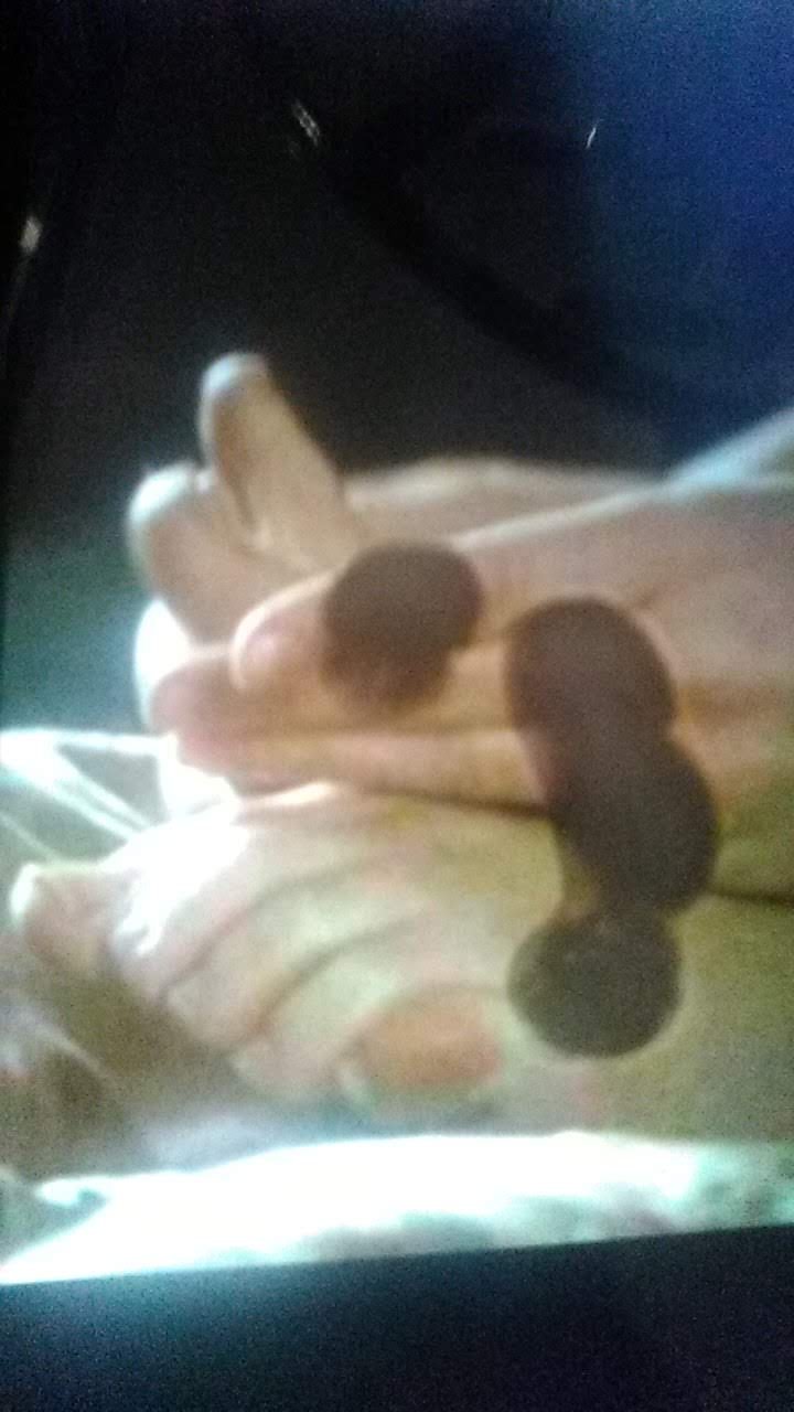 McZoZ2Gq Emma Watson Cum Tributes 04.jpg